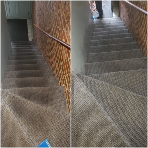 Photo of Alves Cleaning Services