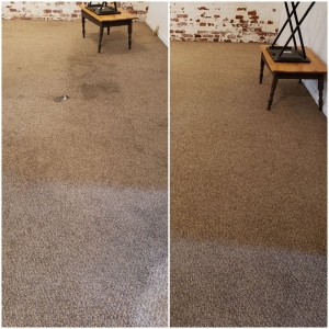 Photo of Alves Cleaning Services