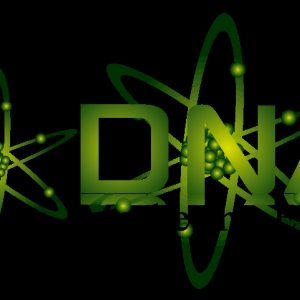 Photo of DNA Marketing and Events