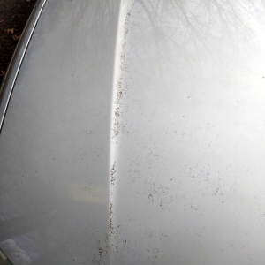 Photo of Speedwash Car Wash