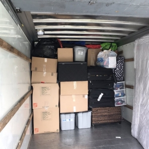 Photo of Mover Beez