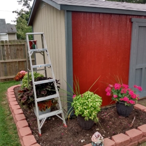 Indianapolis Tom's Turf and Outdoor Services