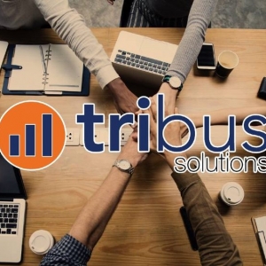 Helotes Tribus Solutions
