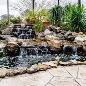 Ocala Touch Of Paradise Designs