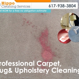 Photo of Hippo Cleaning Services