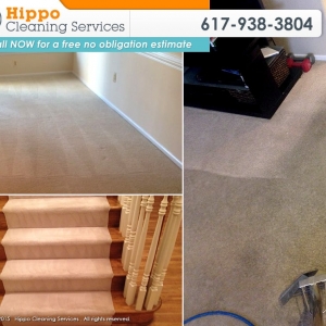 Photo of Hippo Cleaning Services