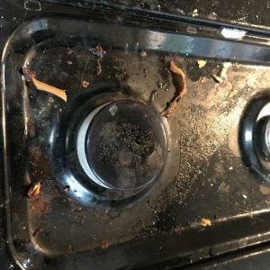 Photo of Clean and Neat