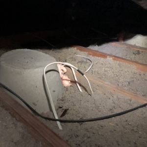 Photo of Ecoattics