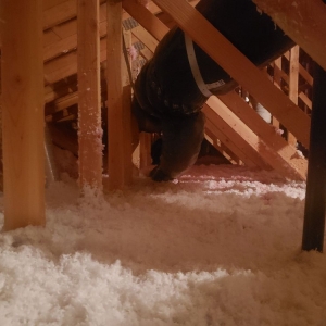 Photo of Ecoattics