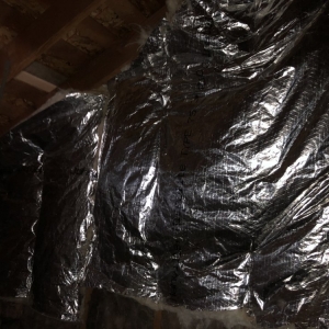 Photo of Ecoattics