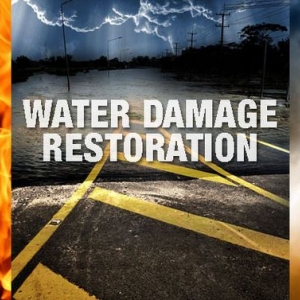 Photo of Passionate Restorations