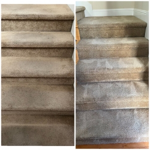 Gilroy J & Sons Carpet Cleaning
