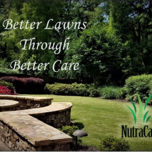 Photo of Elite Landscape Services