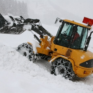 Photo of Liban's Landscaping