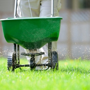 Photo of Liban's Landscaping