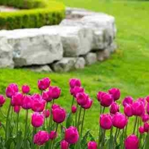 Photo of Vista Landscapes