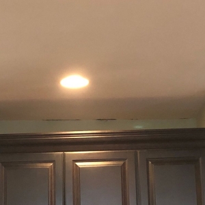 Photo of The Mold Guys NJ