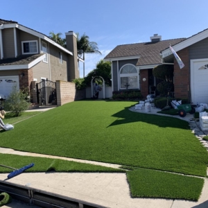 Photo of Grizzly Turf
