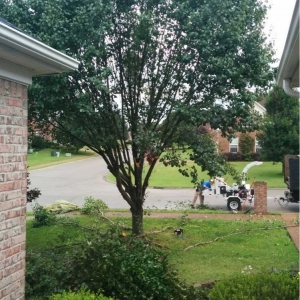 Photo of Mow Nashville Tree Service