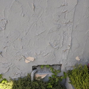 Photo of Paintrite Painters