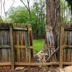 Photo of D&R Landscaping and Tree Service