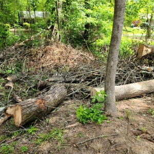 Photo of D&R Landscaping and Tree Service