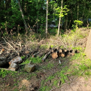 Photo of D&R Landscaping and Tree Service