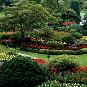 Photo of A & R Tree Service and Landscaping