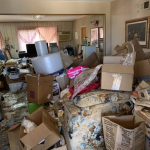 Photo of Clutter Assist