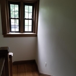 Photo of Tri-Color Plaster