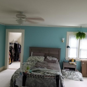 Photo of Tri-Color Plaster