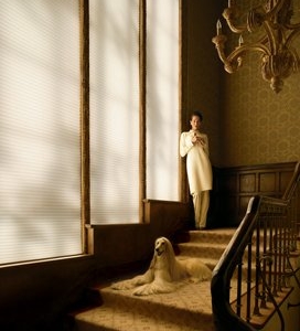 Photo of Window Wares