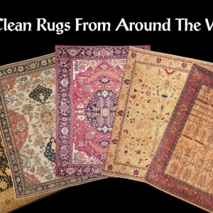 Photo of Aegis Fine Rug Cleaning