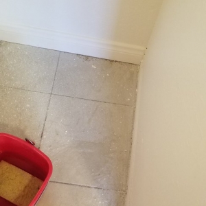 Photo of De la Cruz Cleaning
