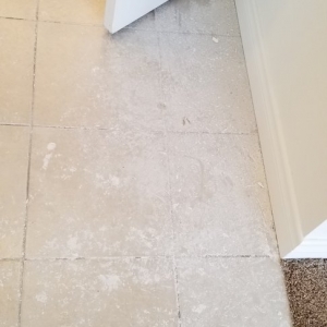 Photo of De la Cruz Cleaning