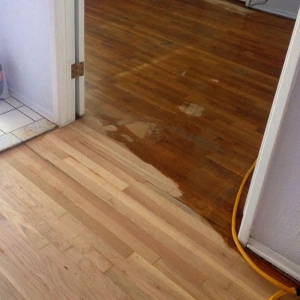 Photo of Hardwood Revival