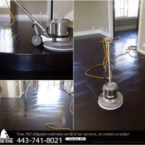 Photo of Hardwood Revival