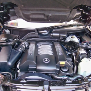 Photo of Zoom Mobile Detail