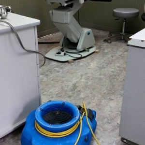 Photo of Clean Maxx USA