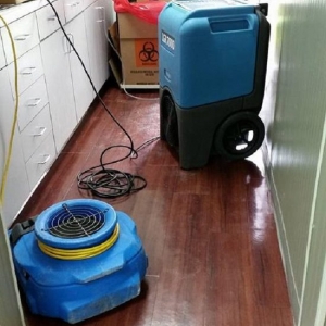 Photo of Clean Maxx USA