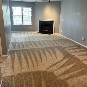Photo of Carpet Elves