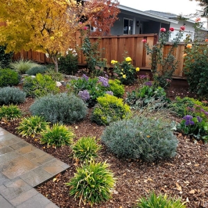 Photo of A & E Landscapes