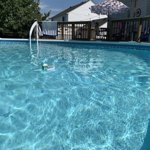 Photo of Kings Pool and Spa