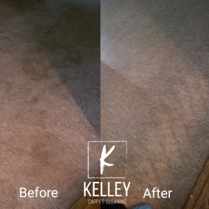 Photo of Kelley Carpet Cleaning