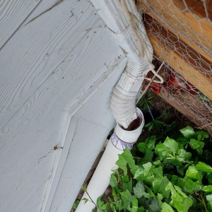 Photo of Bainbridge Paint & Design