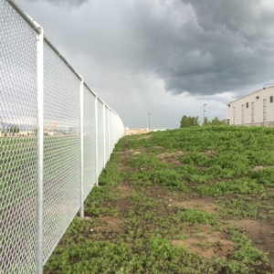 Photo of Custom Fence