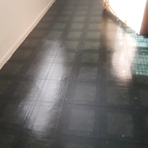 Photo of Tayari Mobile Cleaning Services