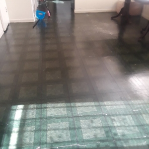 Photo of Tayari Mobile Cleaning Services