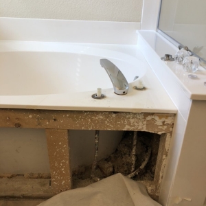 Photo of Armadillo Plumbing