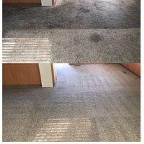Photo of Ultra Fresh PureChem Carpet Care